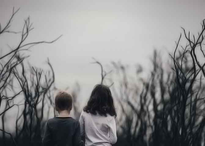 会员商店可靠的器测压文章